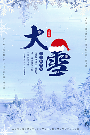 大雪节气简约大气海报