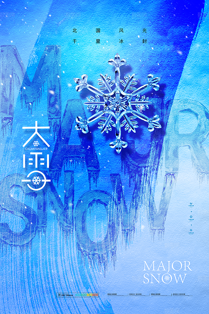 大雪节气简约大气海报