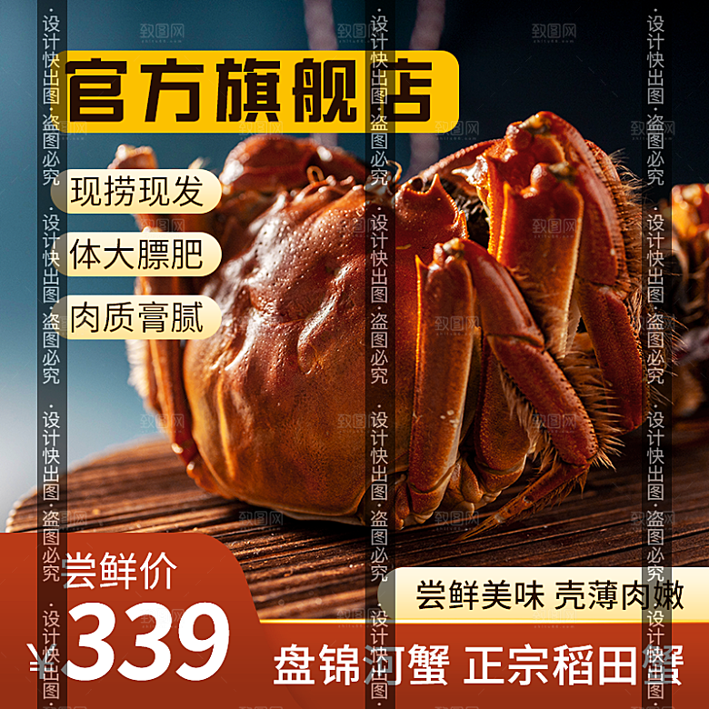 阳澄湖大闸蟹稻田蟹主图