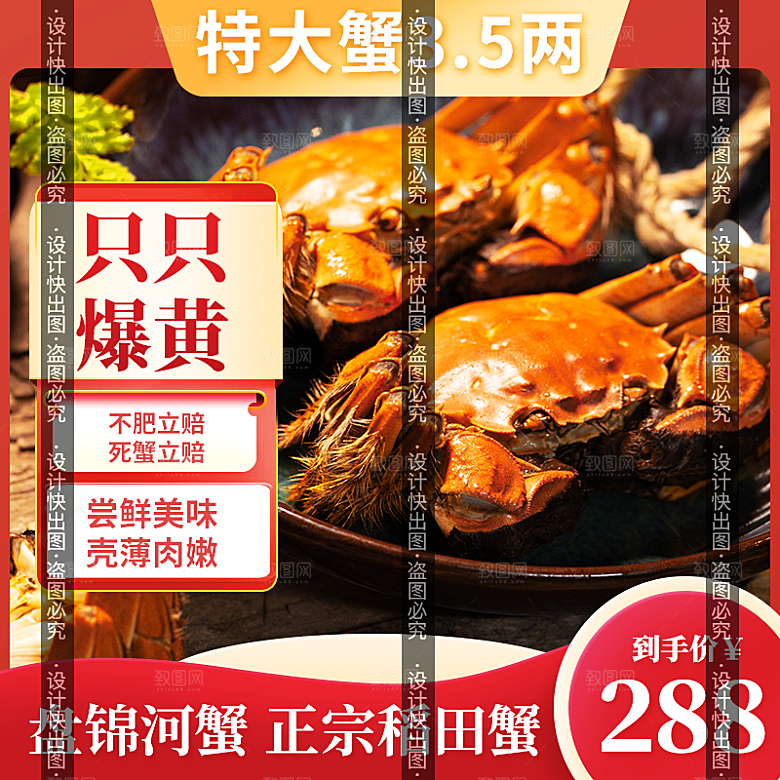 阳澄湖大闸蟹稻田蟹主图