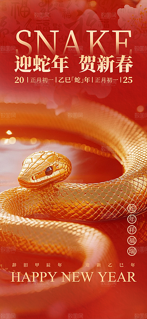 新年过年蛇年喜庆海报