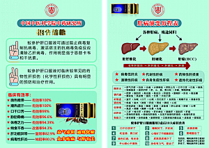 肝病演变历程表10支正反面