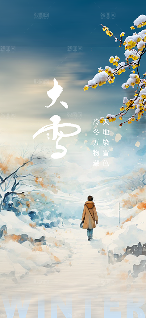 节气大雪宣传活动海报