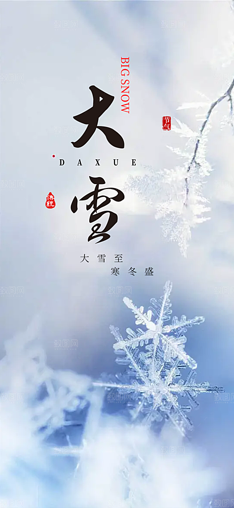 二十四节气大雪宣传活动海报