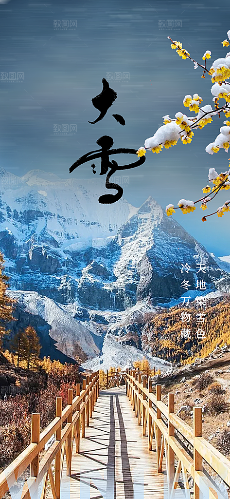 传统二十四节气大雪宣传活动海报