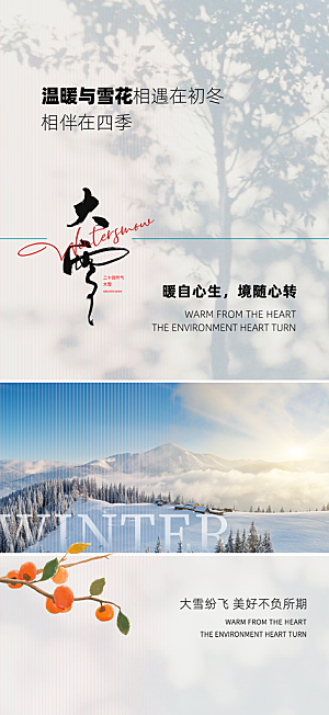 大雪节气简约大气海报