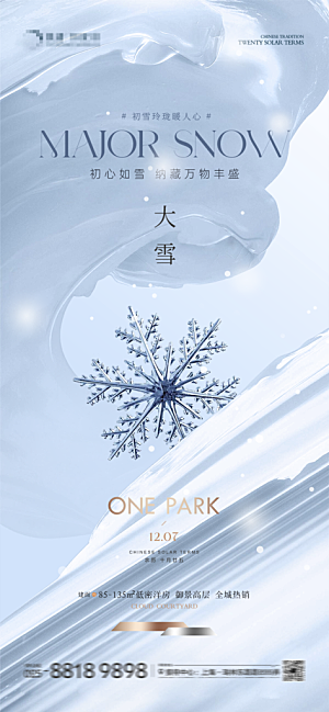 大雪节气简约大气海报