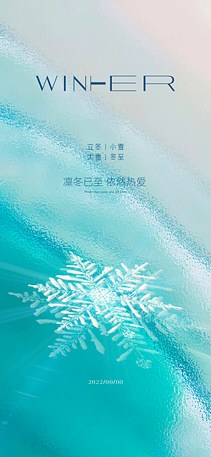 大雪节气简约大气海报