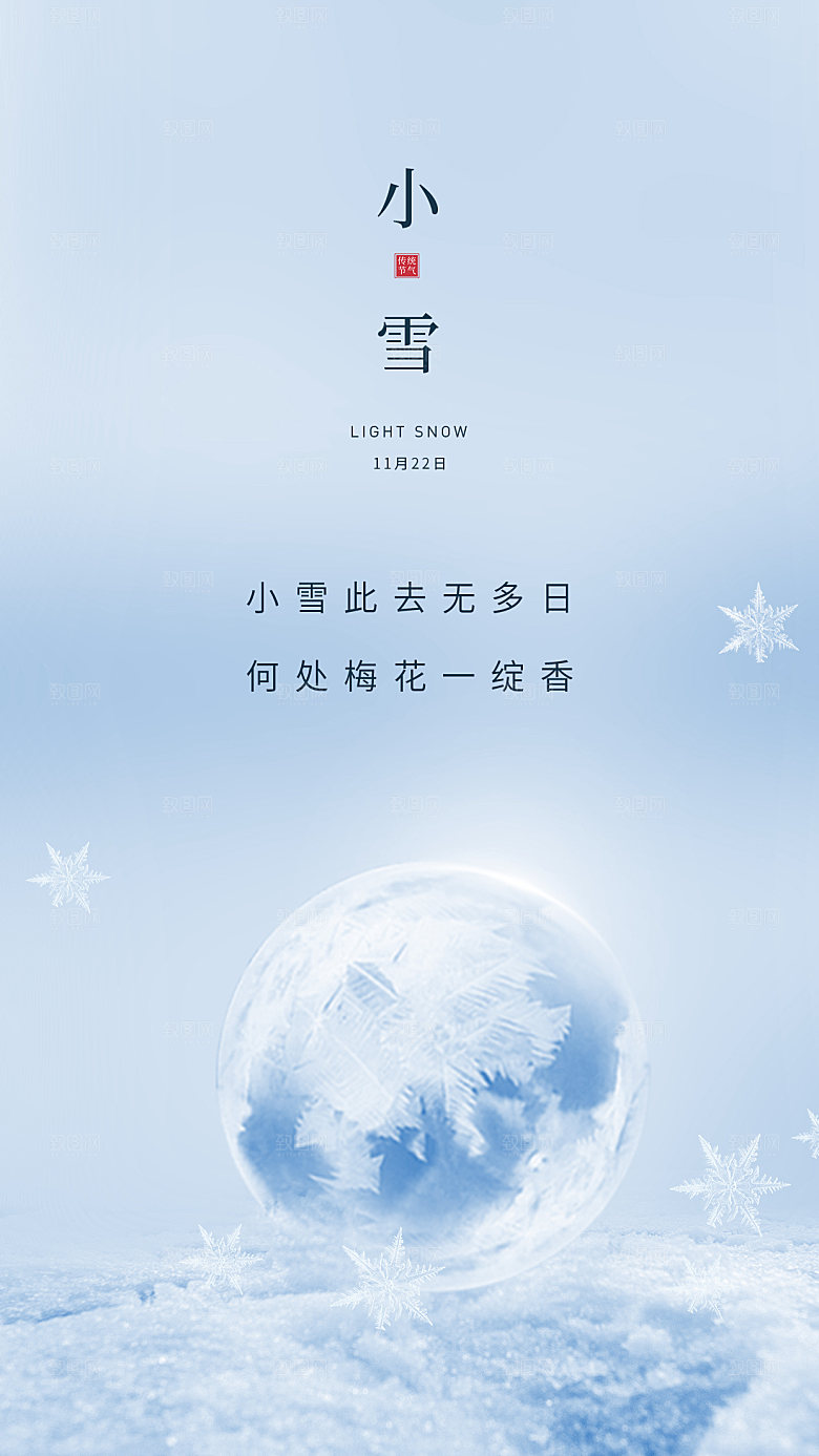 大雪节气简约大气海报