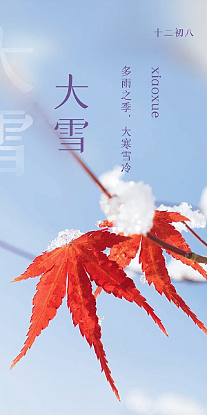 传统二十四节气大雪宣传活动海报