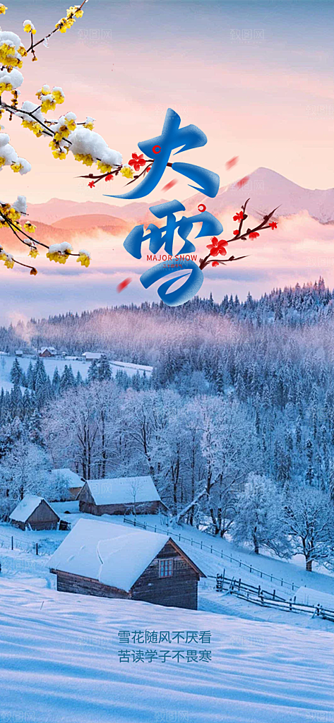 传统二十四节气大雪宣传活动海报
