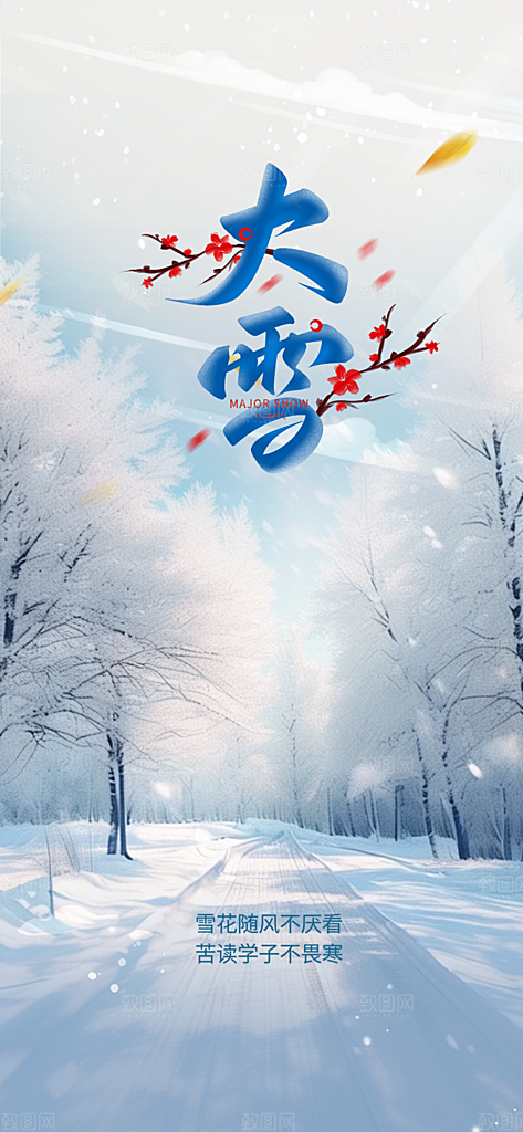 传统二十四节气大雪宣传活动海报