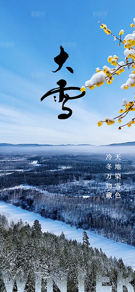 传统二十四节气大雪海报