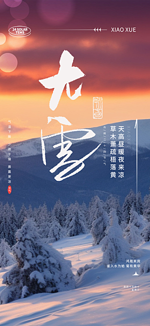 传统二十四节气大雪海报
