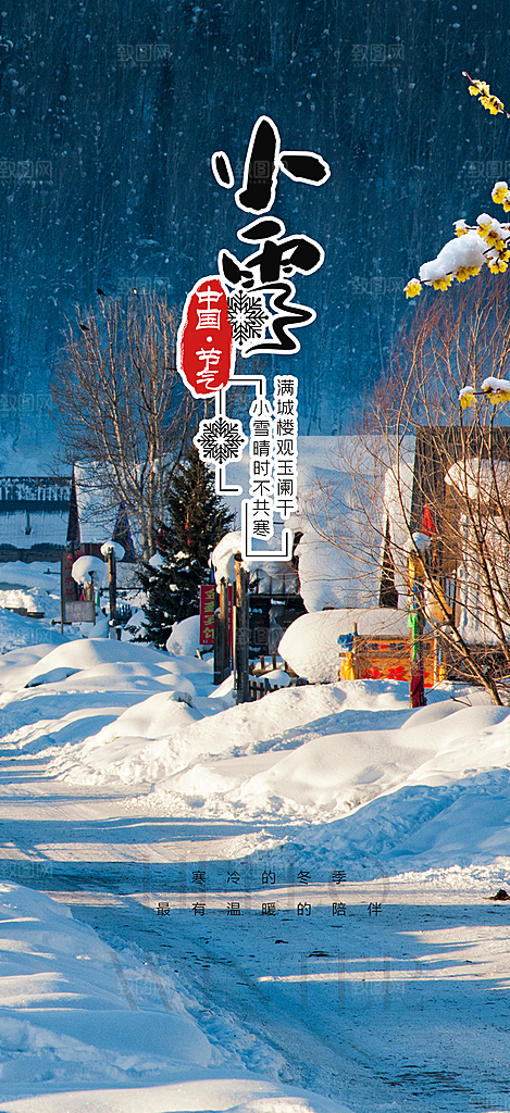 传统二十四节气大雪宣传活动海报