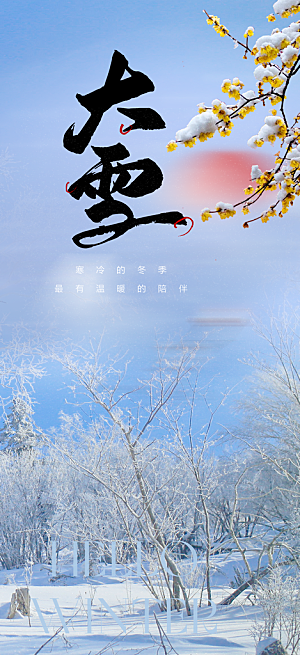 传统二十四节气大雪宣传活动海报