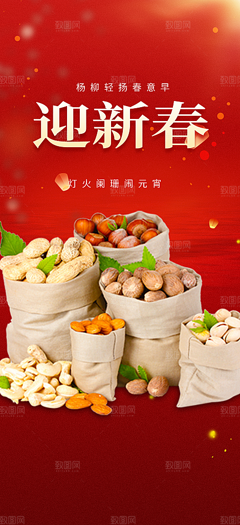 新年过年蛇年喜庆新春活动海报
