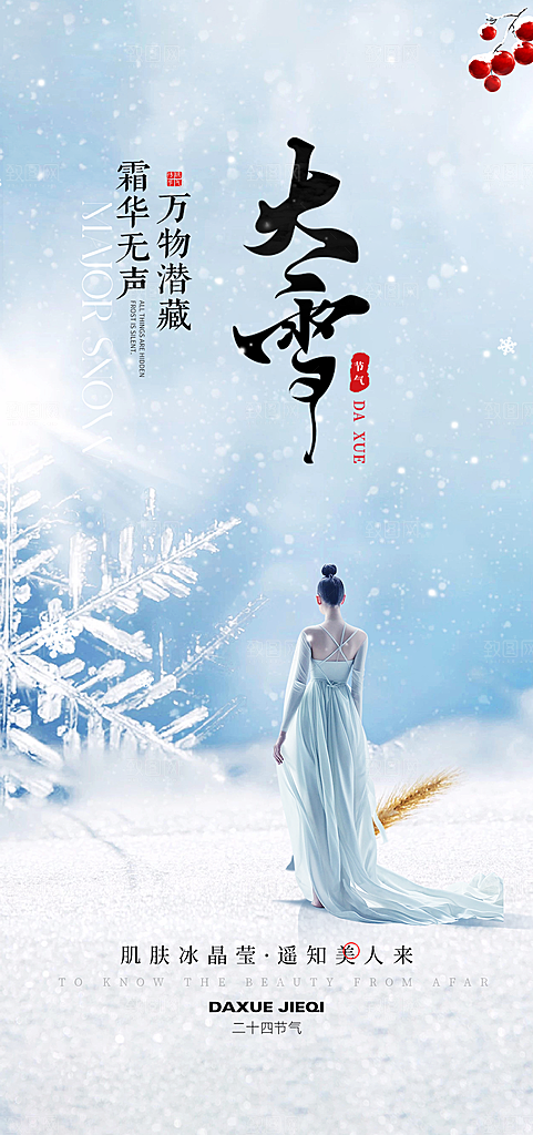 创意简约中国传统24节气大雪手机海报
