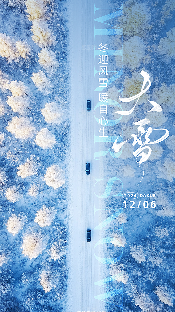 创意简约中国传统24节气大雪手机海报