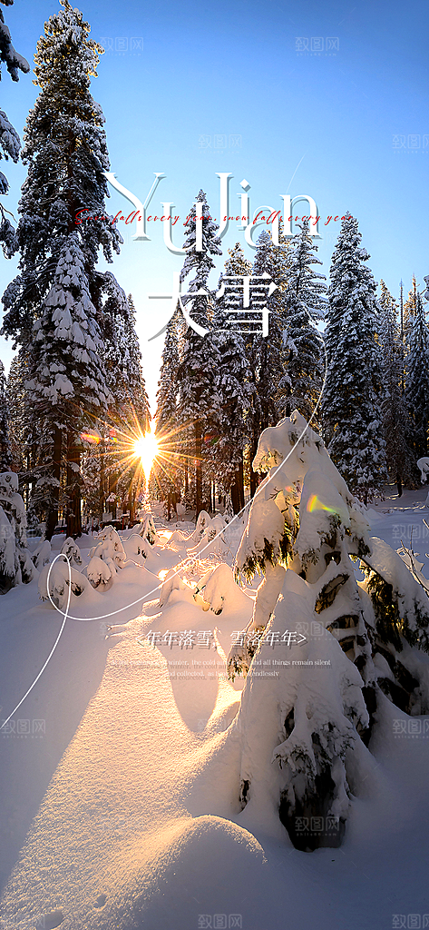 创意简约中国传统24节气大雪手机海报
