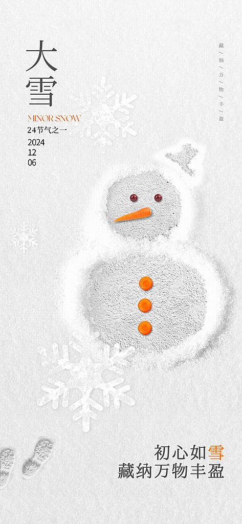 创意简约中国传统24节气大雪手机海报