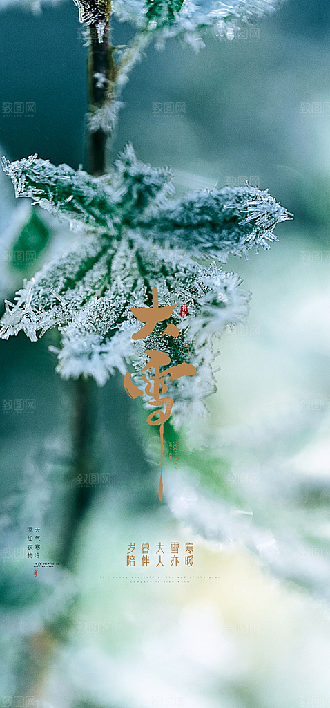 创意简约中国传统24节气大雪手机海报