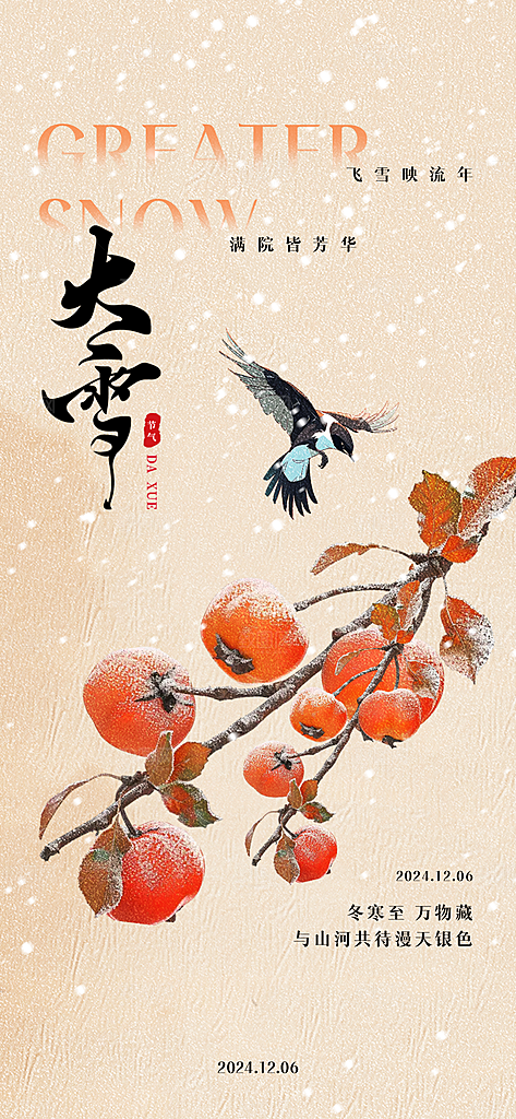 创意简约中国传统24节气大雪手机海报