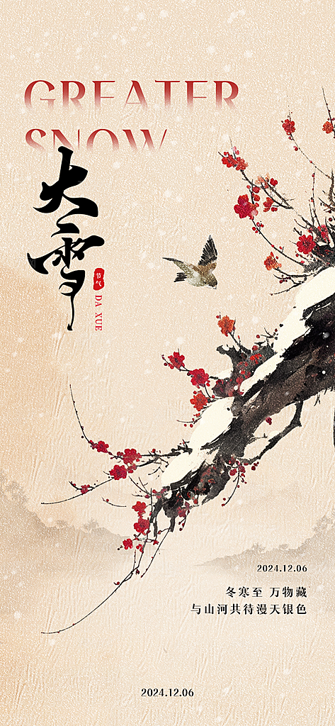 创意简约中国传统24节气大雪手机海报