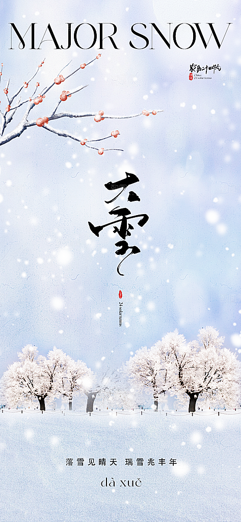 创意简约中国传统24节气大雪手机海报