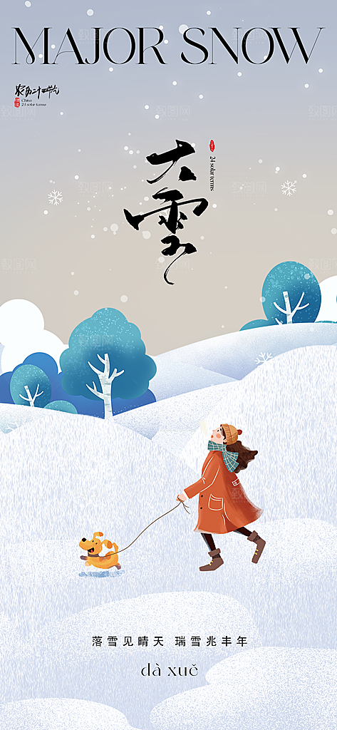 创意简约中国传统24节气大雪手机海报