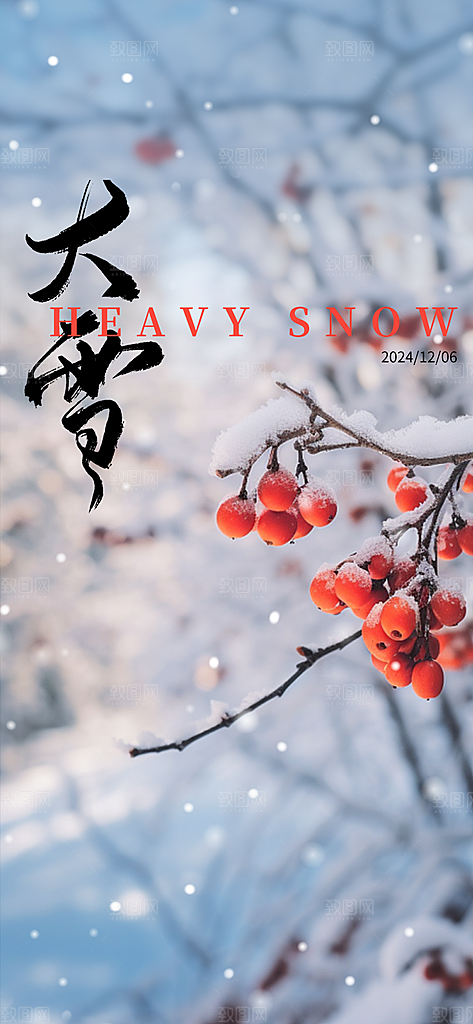 创意简约中国传统24节气大雪手机海报