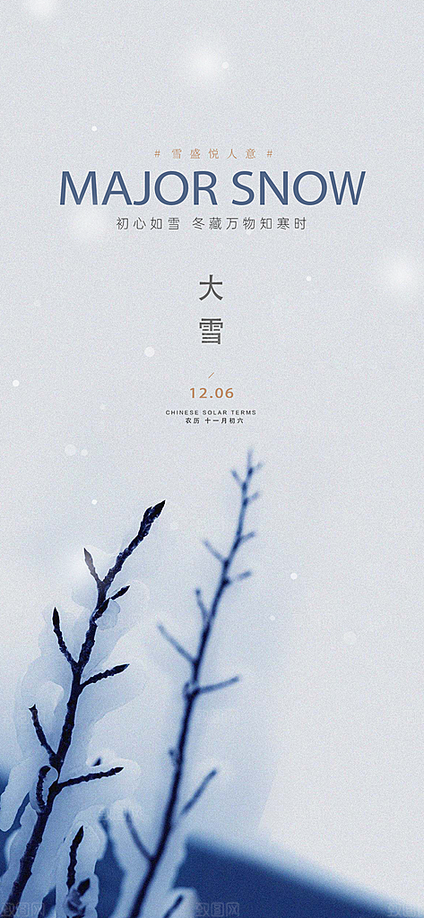 雪景中国传统节气大雪手机海报