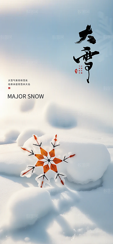 雪景中国传统节气大雪手机海报