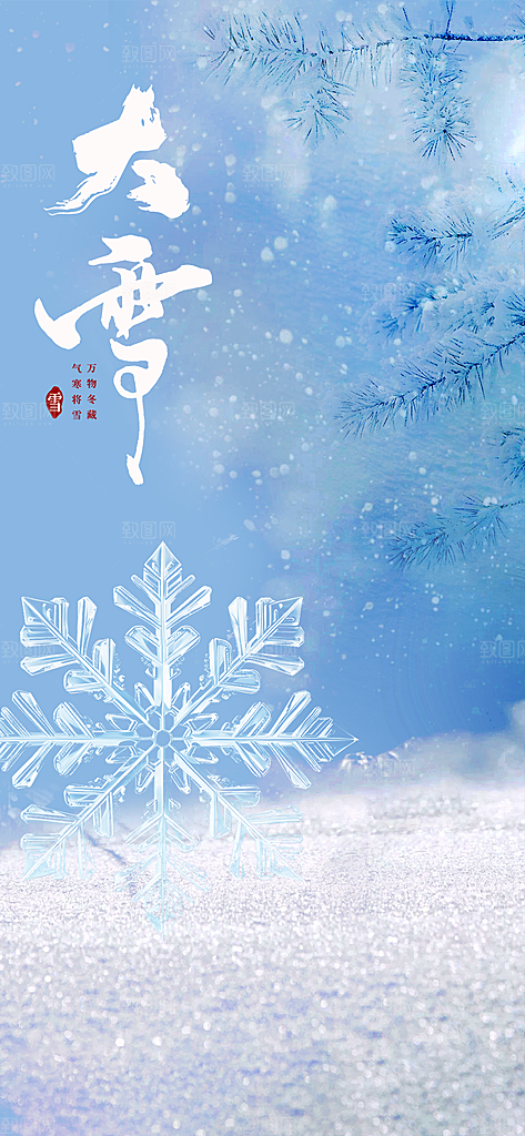 创意简约中国传统24节气大雪手机海报