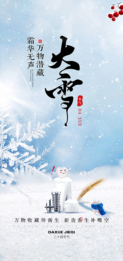 雪景中国传统节气大雪手机海报