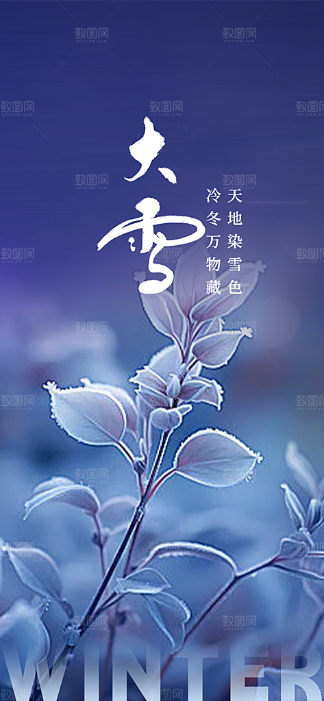 节气大雪宣传活动海报