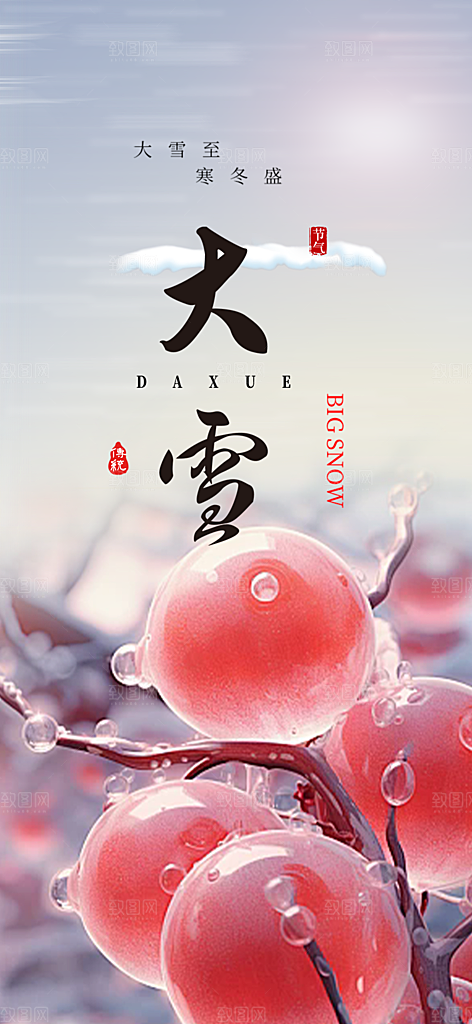 二十四节气大雪宣传活动海报