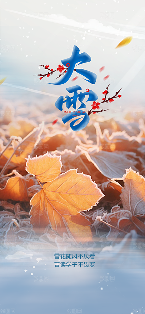 二十四节气大雪宣传活动海报