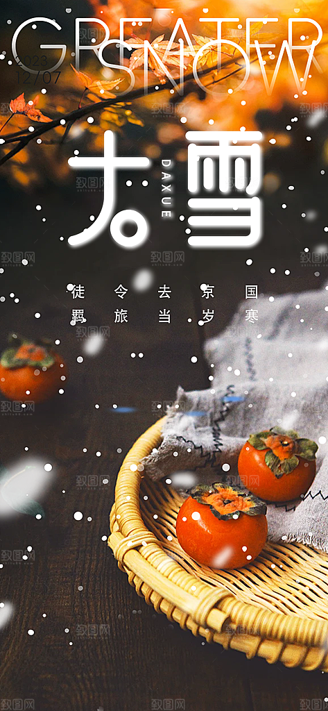 二十四节气大雪宣传活动海报