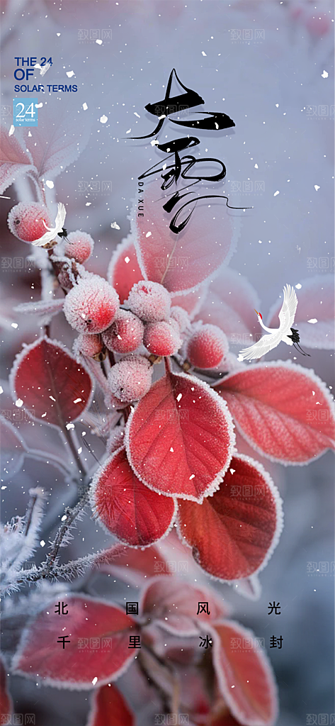 统二十四节气大雪宣传活动海报