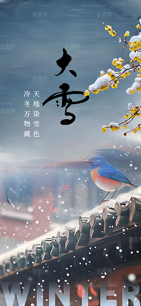 统二十四节气大雪宣传活动海报