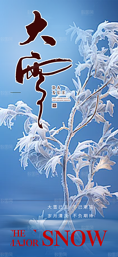 传统二十四节气大雪宣传海报