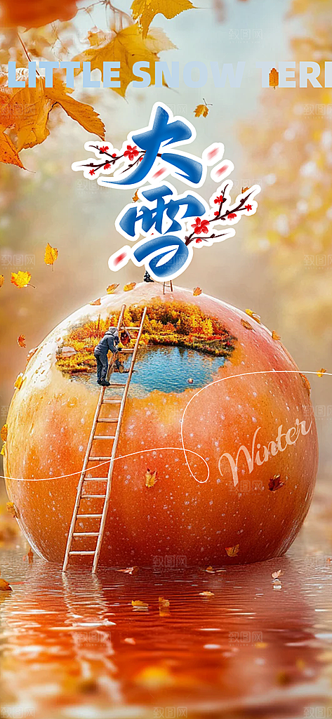 传统二十四节气大雪宣传海报