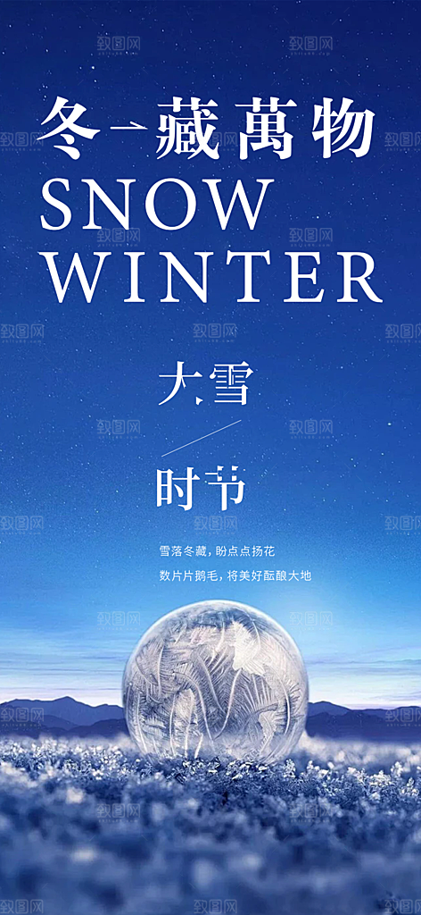 传统二十四节气大雪宣传海报
