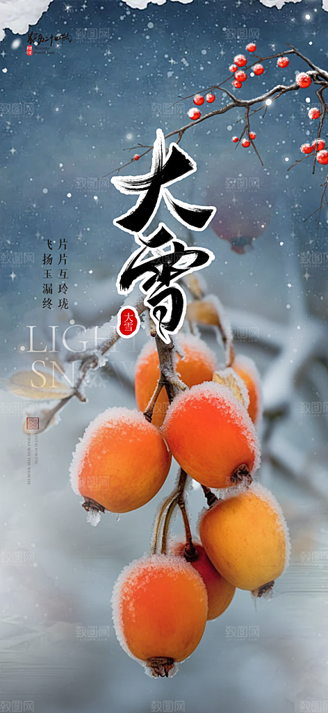 传统二十四节气大雪宣传海报