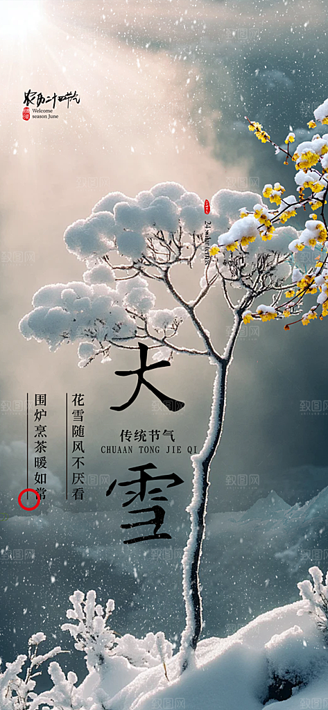 节气大雪宣传活动海报