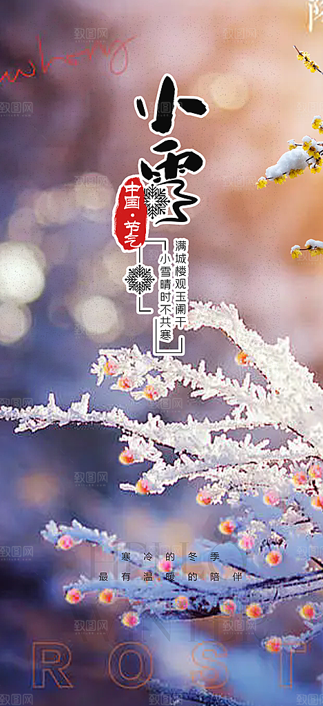 传统二十四节气大雪宣传活动海报