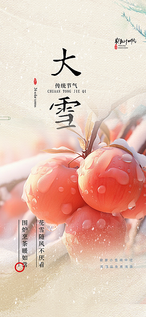 传统二十四节气大雪宣传活动海报