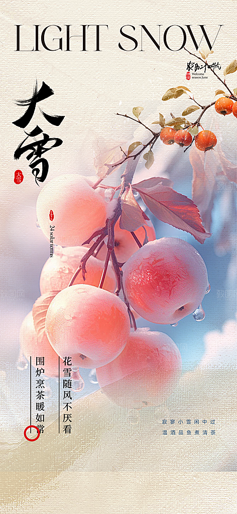 传统二十四节气大雪宣传活动海报