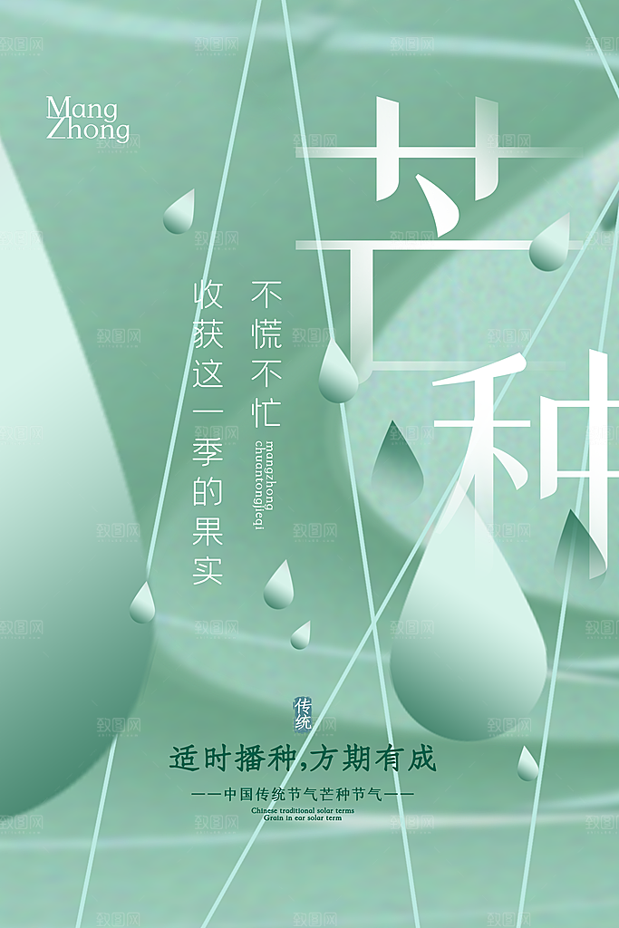 芒种节气简约大气海报